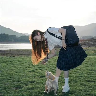 热铁皮屋顶上的猫