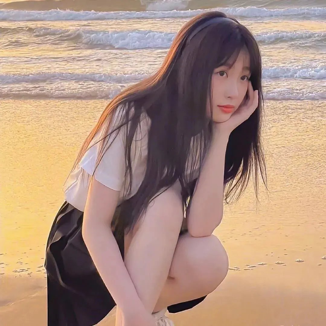 沙鸥