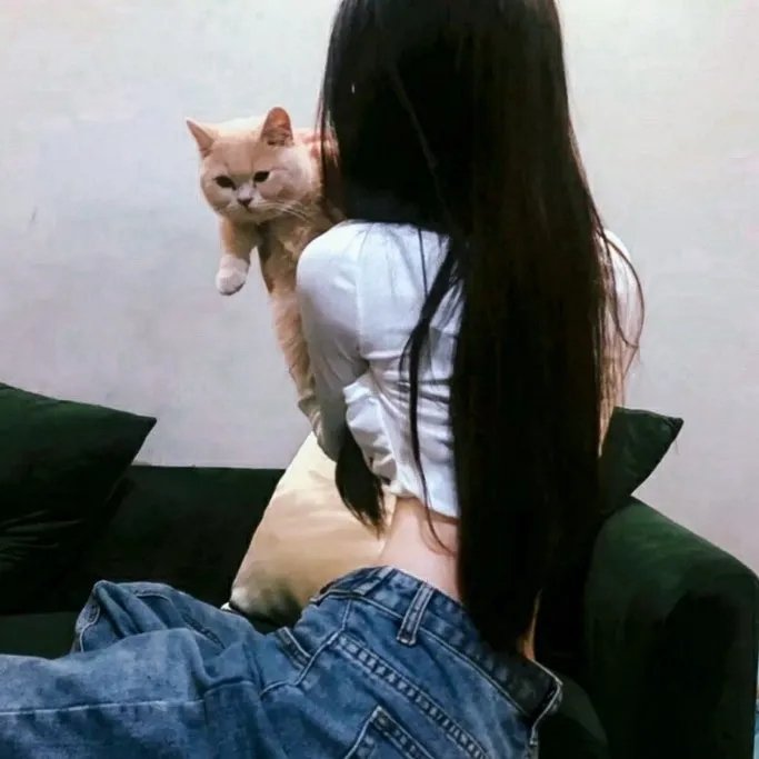 疯狂粉丝王